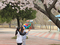 2016 축산항의 봄 1