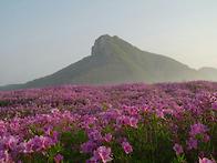 경남합천 황매산