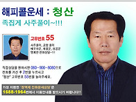쥐잡는꿈 쥐떼꿈 죽은쥐꿈..