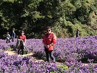 가을 야유회~구절초축제&..