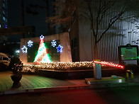 x-mas tree(1단지)