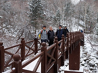 2010.01.18 태백산 정기산..