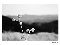홍도/흑산도 트레킹 안내 및 예약[3.16~..