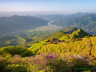 지리산 형제봉 철쭉