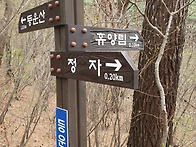 영덕 칠보