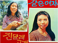 진달래 고개 / 권미숙 (..