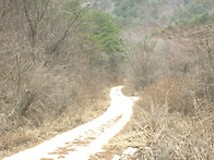 성마령 탐방로 대..