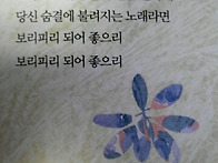 "보리피리" 음반 수록곡목..