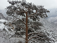 3월의 설악산 풍경