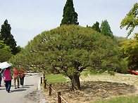 청남대를 다녀오면서...