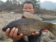 39cm