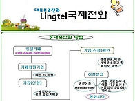 휴대폰(핸드폰)국제전화