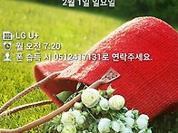 내 휴대폰 화면 디스플레이