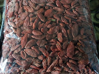 산수유