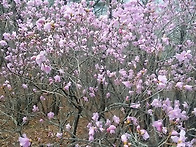 산을 오르며