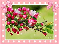 예전에 만들었던 이미지