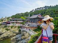 수줍움