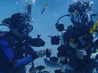 계속 생각나는 티..