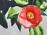 최병화수채화(동백)