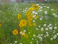 명산 산악회 참관~북설악 ..