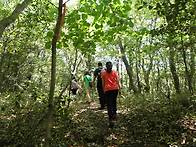 2011.5.29 한라산둘레길