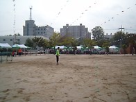 2010년 총동문체육대회