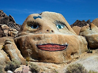 희귀 진귀 자연이 빚어낸 예술