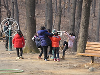 2기 토요 숲 탐험대 후기 ..