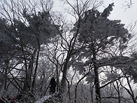 2017년 2월11일 덕유산 산..