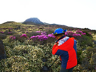 2014. 5.16.제주 한라산 ..