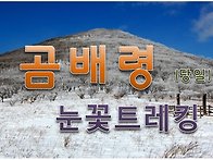 곰배령 눈꽃 트레킹