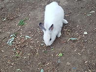 20190720 남산산성둘레길