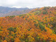 산수원애국회등반대회(2)