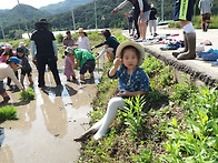 모내기하고 장어잡이!