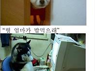 엉아! 엄마가 밥먹..