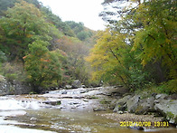 10월 8일 현재입니다,,