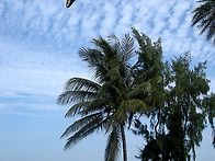 영혼의 식사,매일..