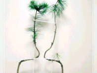 주인공형1. 小 ㅡ..