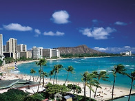 하와이 신혼여행 ..