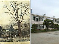 연산국민학교 교정