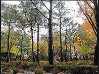 울 동네 가을풍경