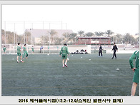 [화보]2015 페어플레이컵(..