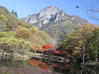 2014.만추