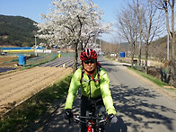 본리3종 및 김흥임도