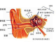 난청&이명 국가유공자 상이..