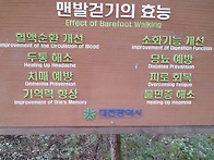 맨발걷기
