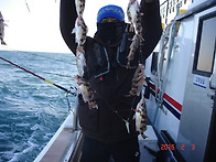 완도먼바다호 열기..