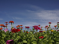 창작반 4조 과제 올립니다..