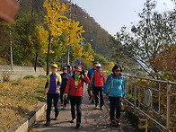 화천산소길