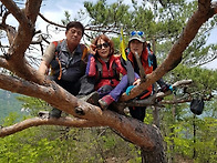 단양군 황정산